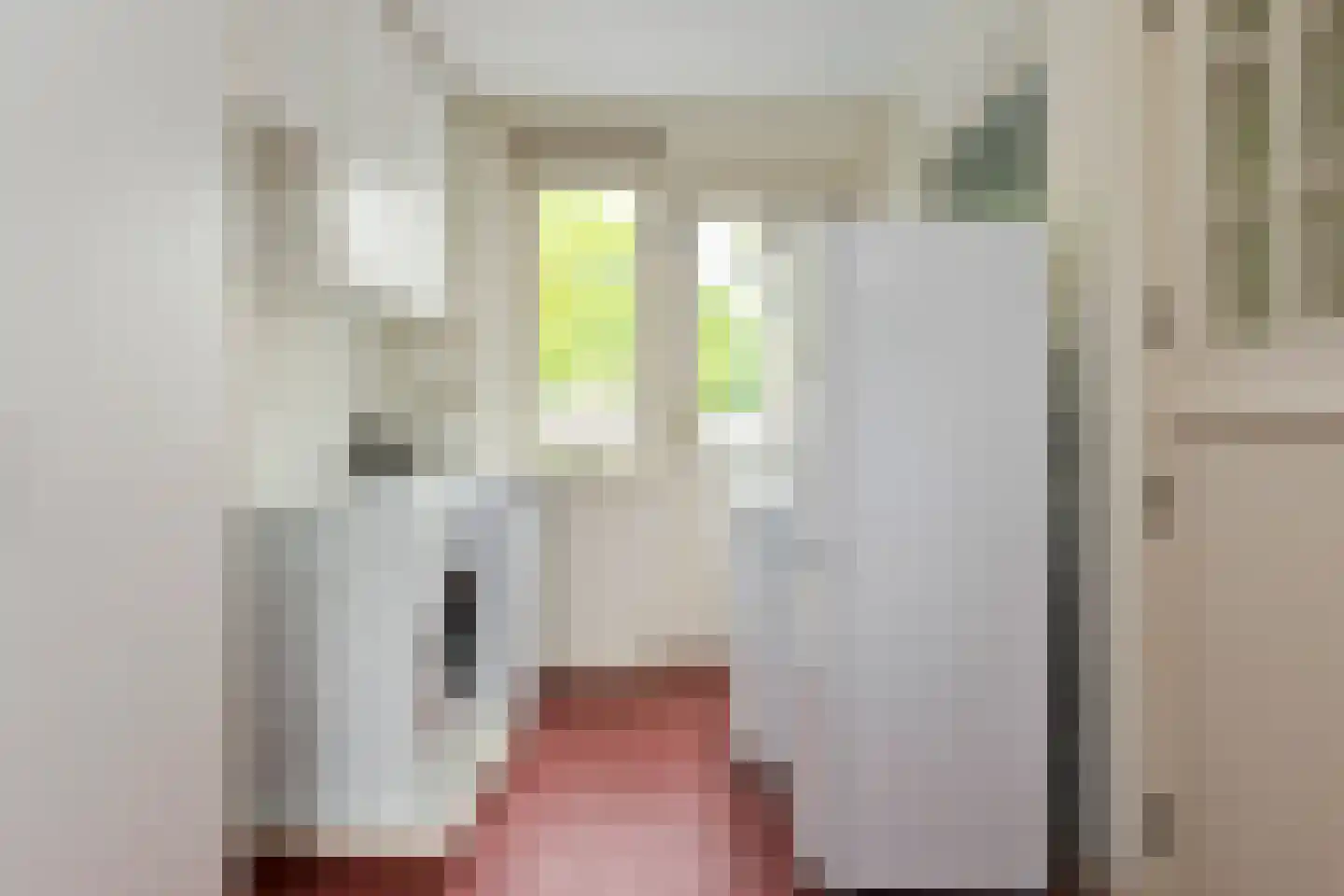 Jhr. Nedermeijer van Rosenthalweg 28 Oosterbeek thumbnail 32