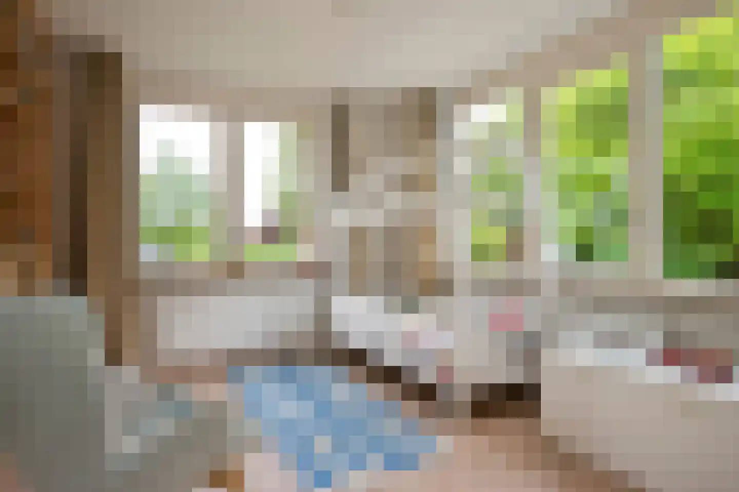 Jhr. Nedermeijer van Rosenthalweg 28 Oosterbeek thumbnail 33