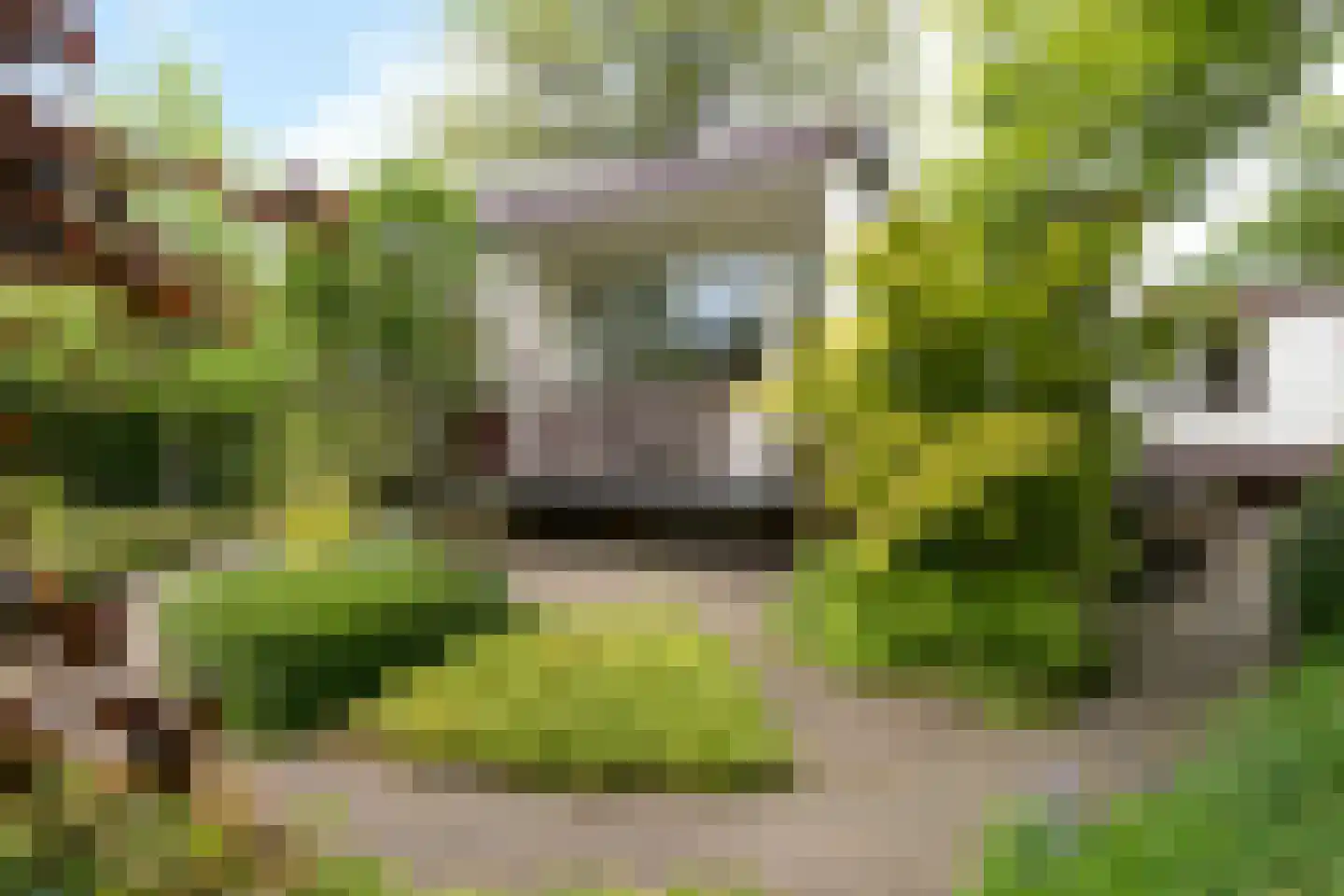 Jhr. Nedermeijer van Rosenthalweg 28 Oosterbeek thumbnail 48