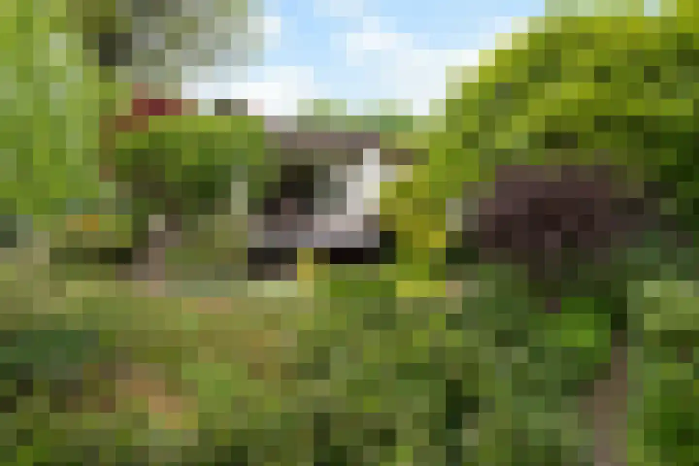 Jhr. Nedermeijer van Rosenthalweg 28 Oosterbeek thumbnail 49