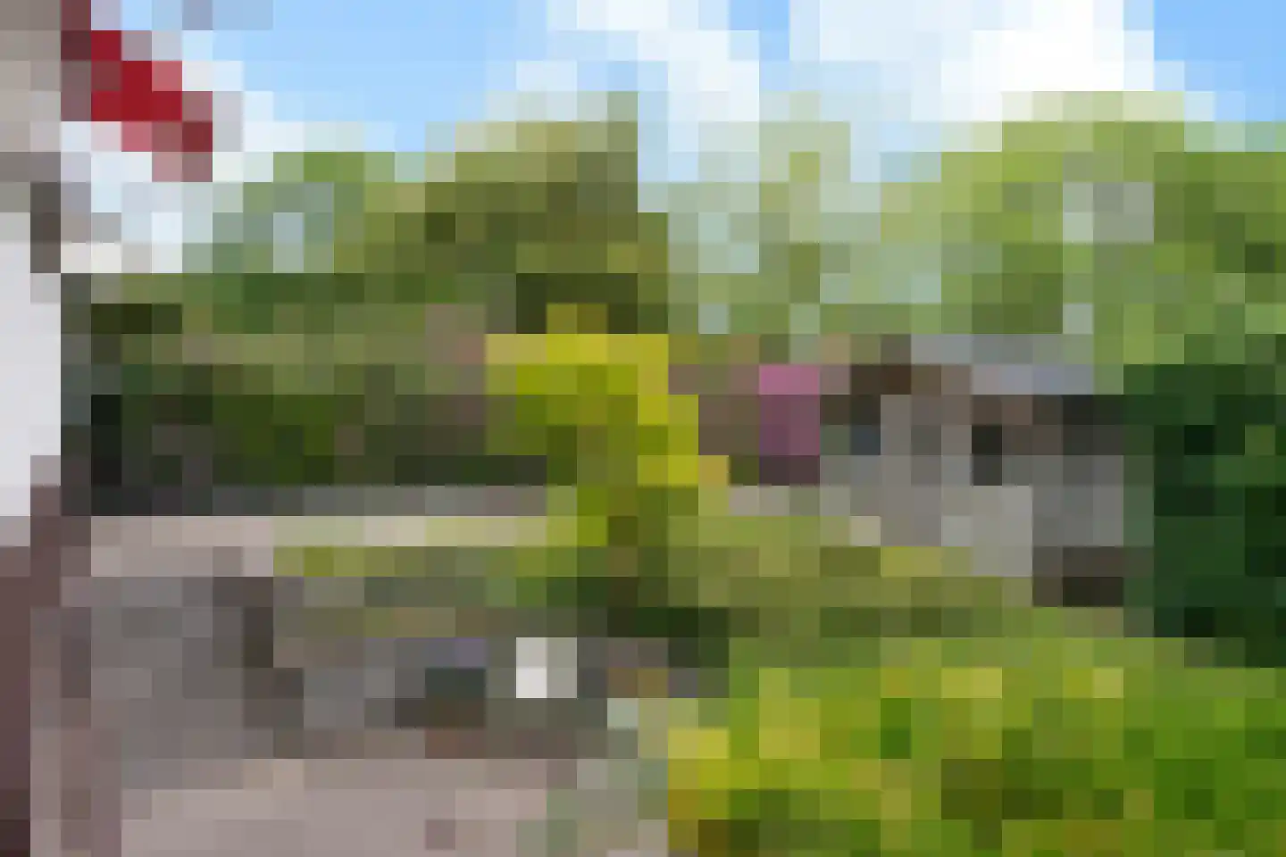 Jhr. Nedermeijer van Rosenthalweg 28 Oosterbeek thumbnail 54