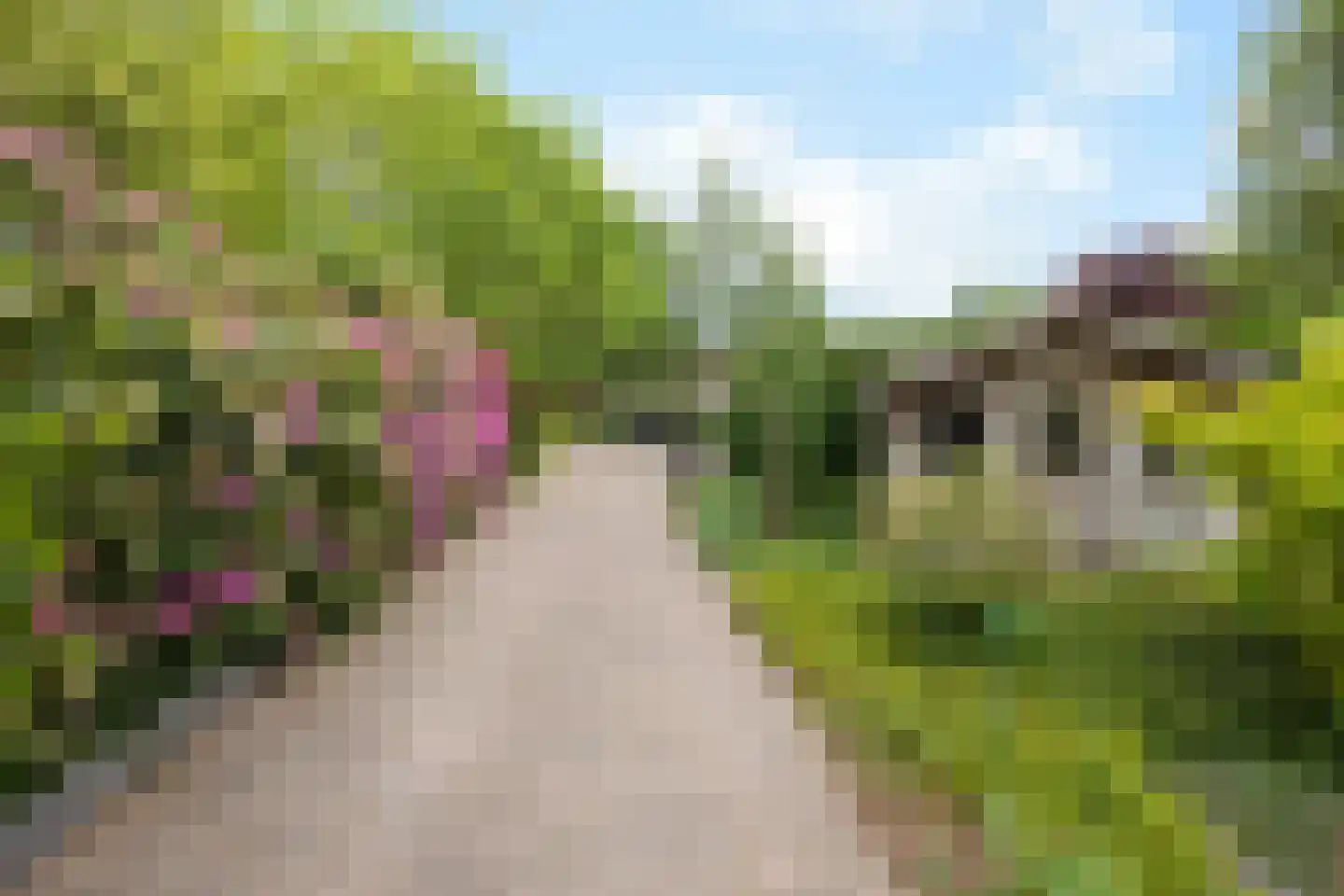 Jhr. Nedermeijer van Rosenthalweg 28 Oosterbeek thumbnail 58