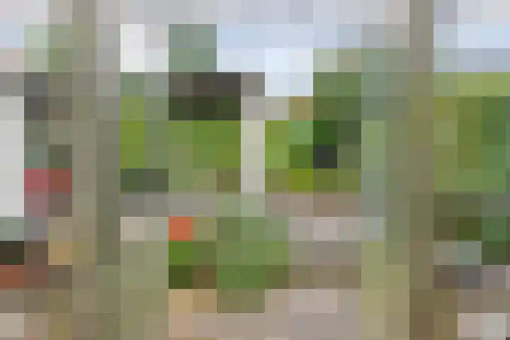 Jhr. Nedermeijer van Rosenthalweg 35 Oosterbeek thumbnail 10