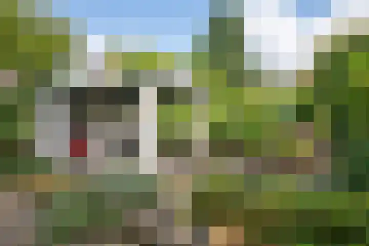 Jhr. Nedermeijer van Rosenthalweg 35 Oosterbeek thumbnail 41