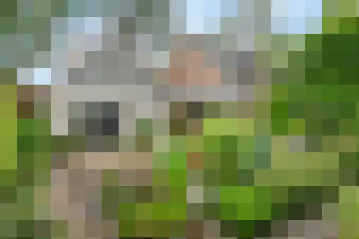 Jhr. Nedermeijer van Rosenthalweg 35 Oosterbeek thumbnail 45