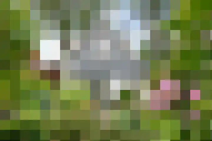 Jhr. Nedermeijer van Rosenthalweg 35 Oosterbeek thumbnail 47