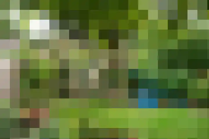 Jhr. Nedermeijer van Rosenthalweg 44 Oosterbeek thumbnail 68