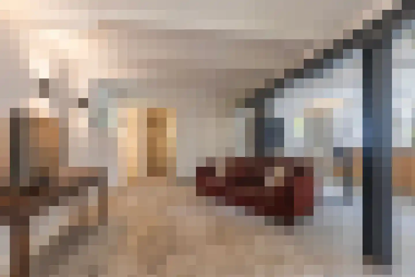 Jhr. Nedermeijer van Rosenthalweg 48 Oosterbeek thumbnail 21