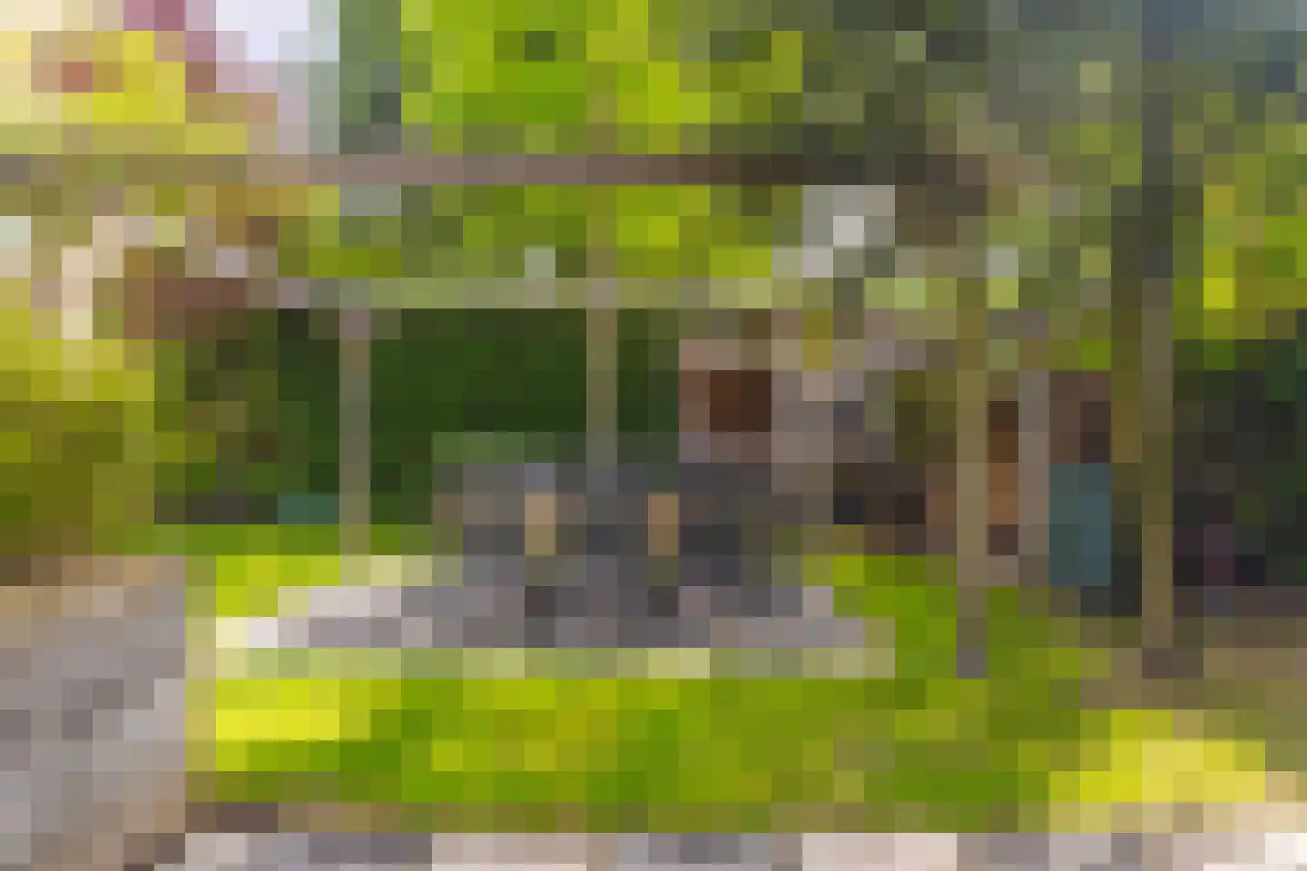 Jhr. Nedermeijer van Rosenthalweg 48 Oosterbeek thumbnail 45