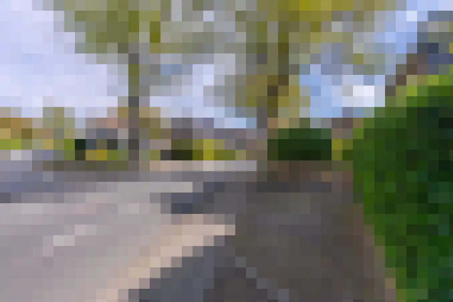Jhr. Nedermeijer van Rosenthalweg 48 Oosterbeek thumbnail 60