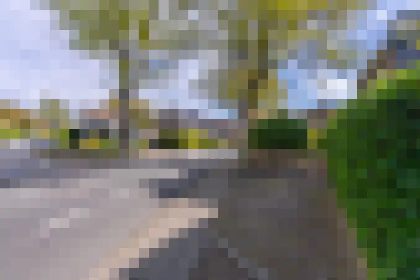 Jhr. Nedermeijer van Rosenthalweg 48 Oosterbeek thumbnail 60