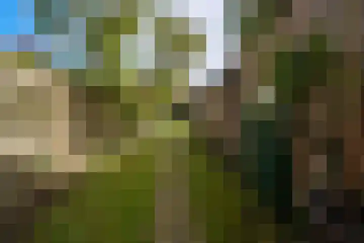 Jhr. Nedermeijer van Rosenthalweg 66 Oosterbeek thumbnail 20