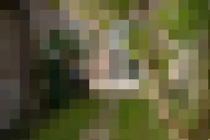 Jhr. Nedermeijer van Rosenthalweg 66 Oosterbeek thumbnail 22