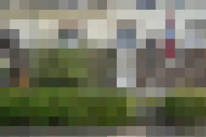 Jhr. Nedermeijer van Rosenthalweg 66 Oosterbeek thumbnail 5
