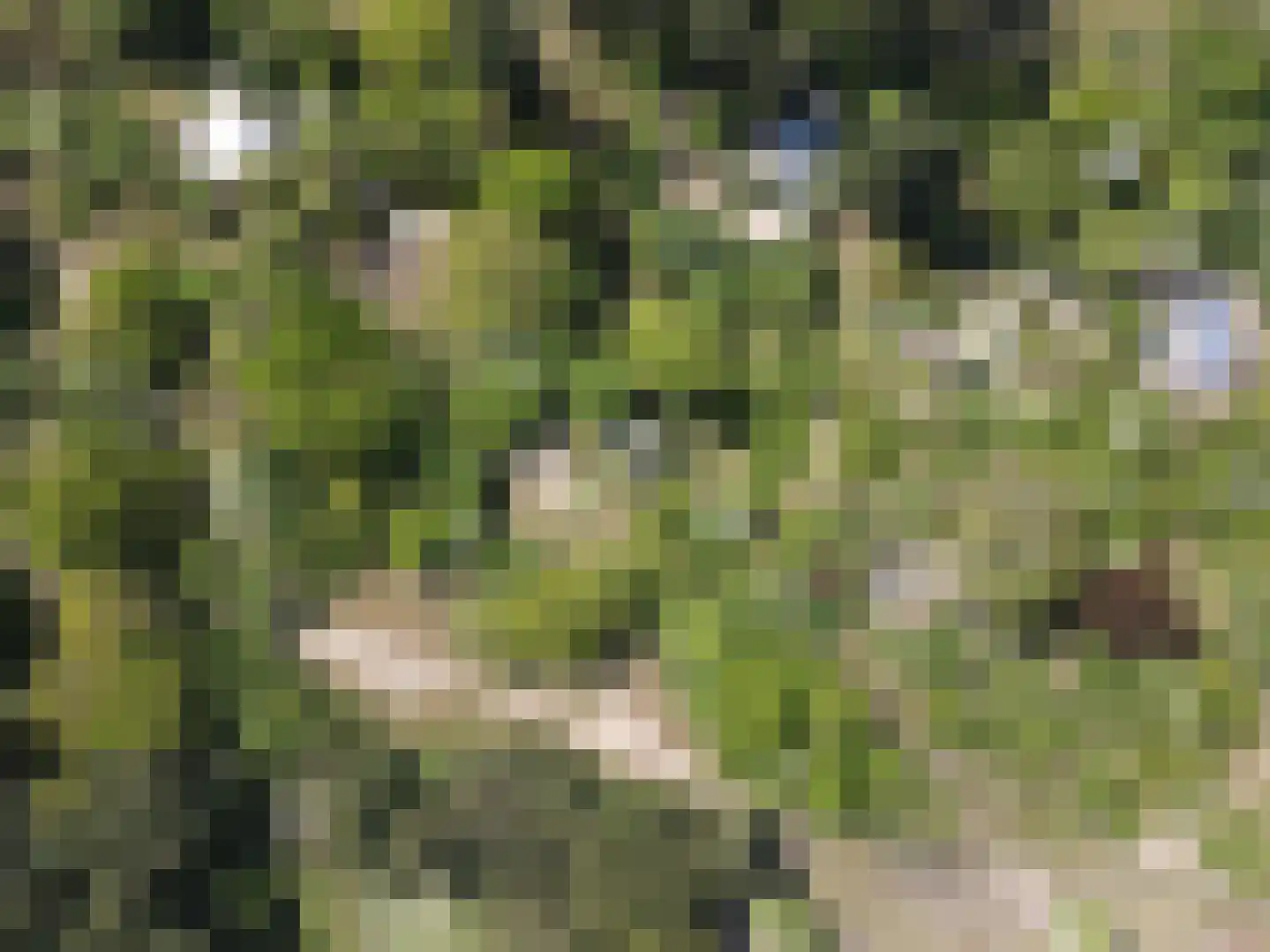 Jhr. P.N. Quarles van Uffordlaan 1 a 21 Zandvoort thumbnail 31