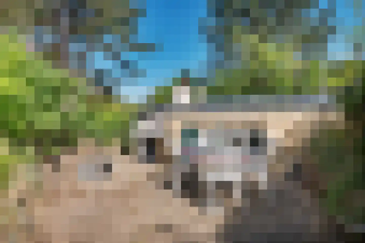 Jhr. P.N. Quarles van Uffordlaan 1 a 21 Zandvoort thumbnail 9