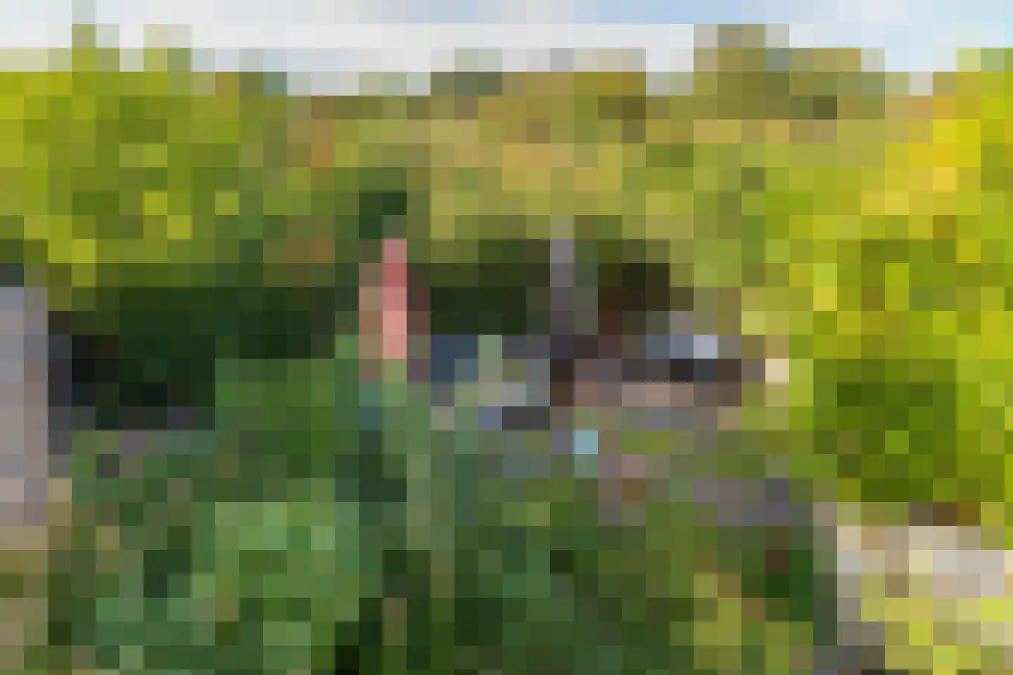 Jhr. P.N. Quarles van Uffordlaan 1 a 24 Zandvoort thumbnail 8