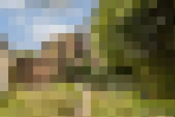Jhr. P.N. Quarles van Uffordlaan 15 Zandvoort thumbnail 17