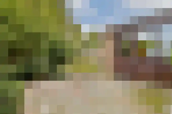 Jhr. P.N. Quarles van Uffordlaan 15 Zandvoort thumbnail 18