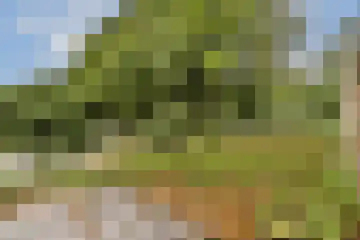 Jhr. P.N. Quarles van Uffordlaan 15 Zandvoort thumbnail 19