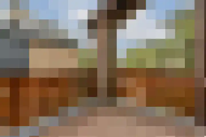 Jhr. P.N. Quarles van Uffordlaan 15 Zandvoort thumbnail 25