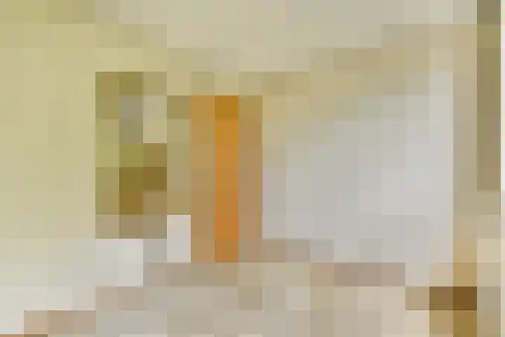 Jhr. P.N. Quarles van Uffordlaan 15 Zandvoort thumbnail 32