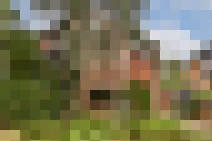 Jhr. P.N. Quarles van Uffordlaan 15 Zandvoort thumbnail 4
