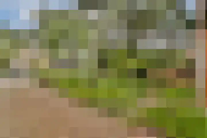 Jhr. P.N. Quarles van Uffordlaan 15 Zandvoort thumbnail 5
