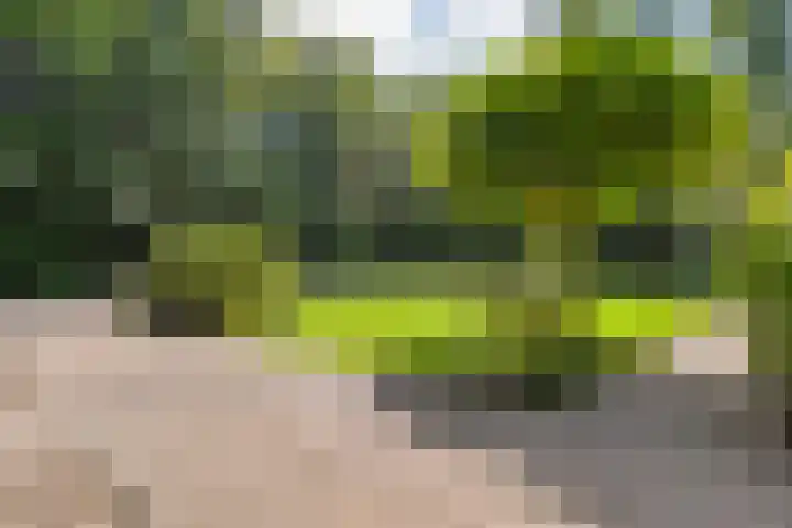 Jhr.Repelaerlaan 6 Ommen thumbnail 10