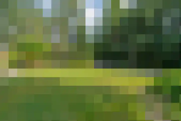 Jhr.Repelaerlaan 6 Ommen thumbnail 11