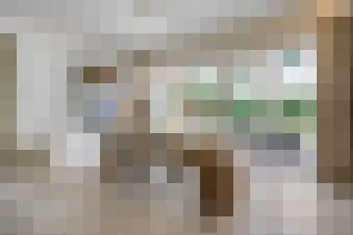 Jhr.Repelaerlaan 6 Ommen thumbnail 16