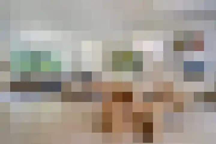 Jhr.Repelaerlaan 6 Ommen thumbnail 17