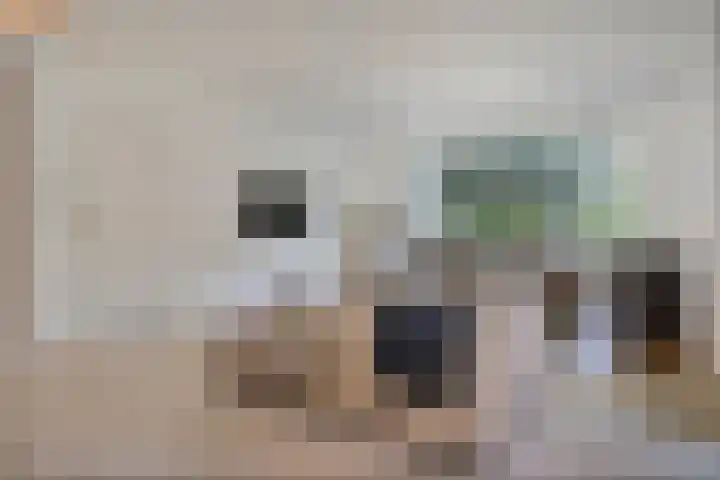 Jhr.Repelaerlaan 6 Ommen thumbnail 19