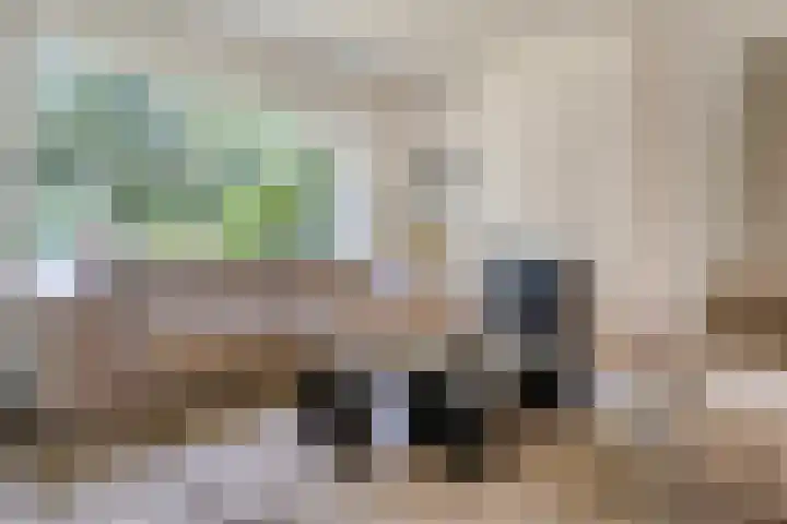 Jhr.Repelaerlaan 6 Ommen thumbnail 20