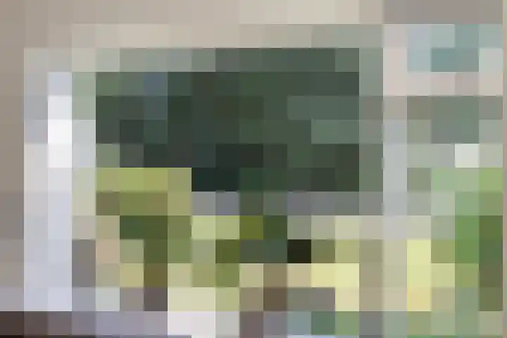 Jhr.Repelaerlaan 6 Ommen thumbnail 22