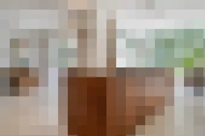 Jhr.Repelaerlaan 6 Ommen thumbnail 26