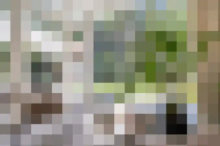 Jhr.Repelaerlaan 6 Ommen thumbnail 27