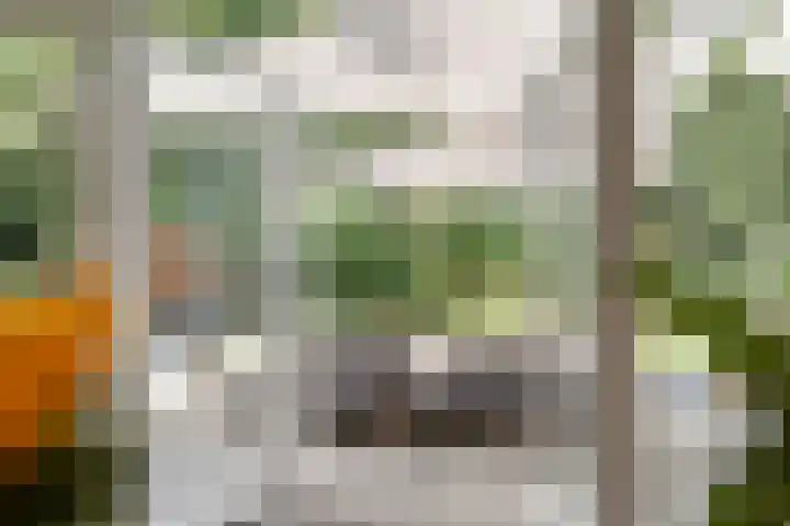 Jhr.Repelaerlaan 6 Ommen thumbnail 31