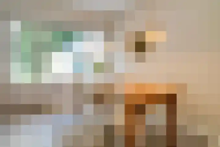 Jhr.Repelaerlaan 6 Ommen thumbnail 33