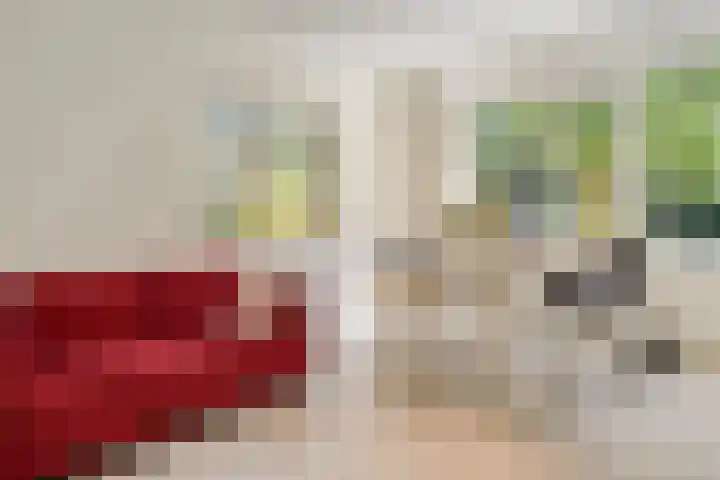 Jhr.Repelaerlaan 6 Ommen thumbnail 34