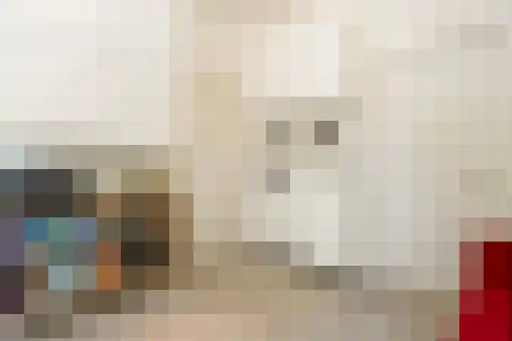 Jhr.Repelaerlaan 6 Ommen thumbnail 35