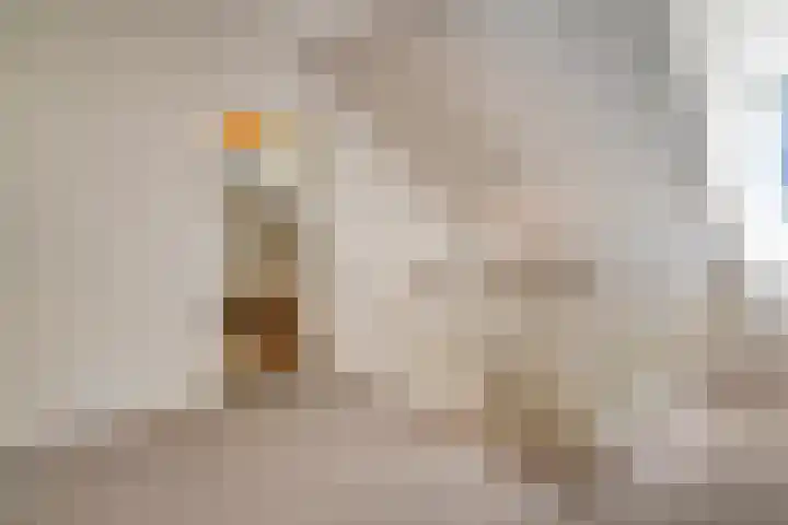 Jhr.Repelaerlaan 6 Ommen thumbnail 37