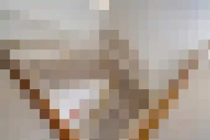 Jhr.Repelaerlaan 6 Ommen thumbnail 38
