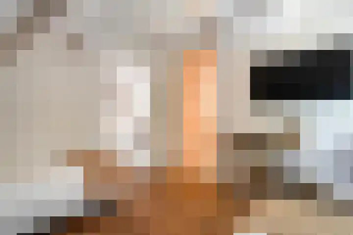 Jhr.Repelaerlaan 6 Ommen thumbnail 41