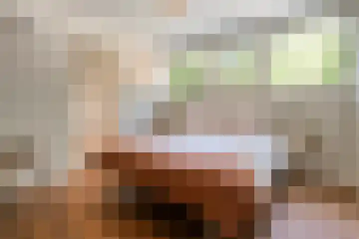 Jhr.Repelaerlaan 6 Ommen thumbnail 46