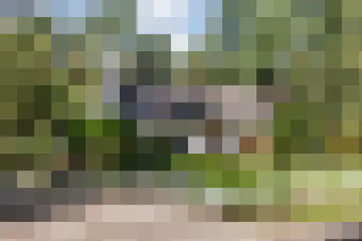 Jhr.Repelaerlaan 6 Ommen thumbnail 5
