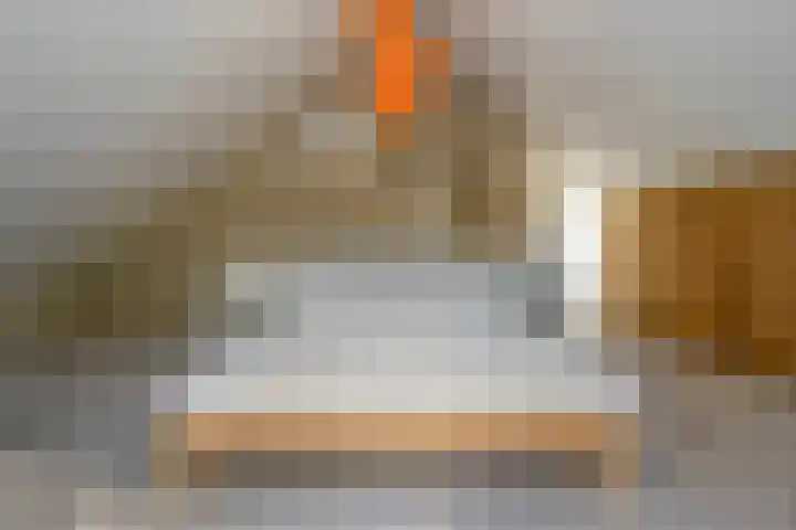 Jhr.Repelaerlaan 6 Ommen thumbnail 53