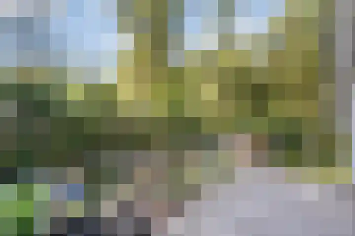 Jhr.Repelaerlaan 6 Ommen thumbnail 56