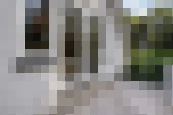 Jhr.Repelaerlaan 6 Ommen thumbnail 57