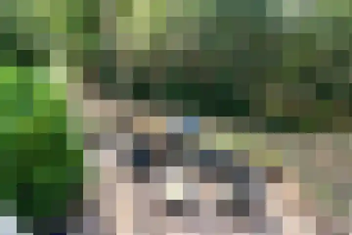 Jhr.Repelaerlaan 6 Ommen thumbnail 58